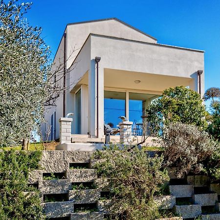 Villa Il Poggino - Modern House Foiano Della Chiana Dış mekan fotoğraf