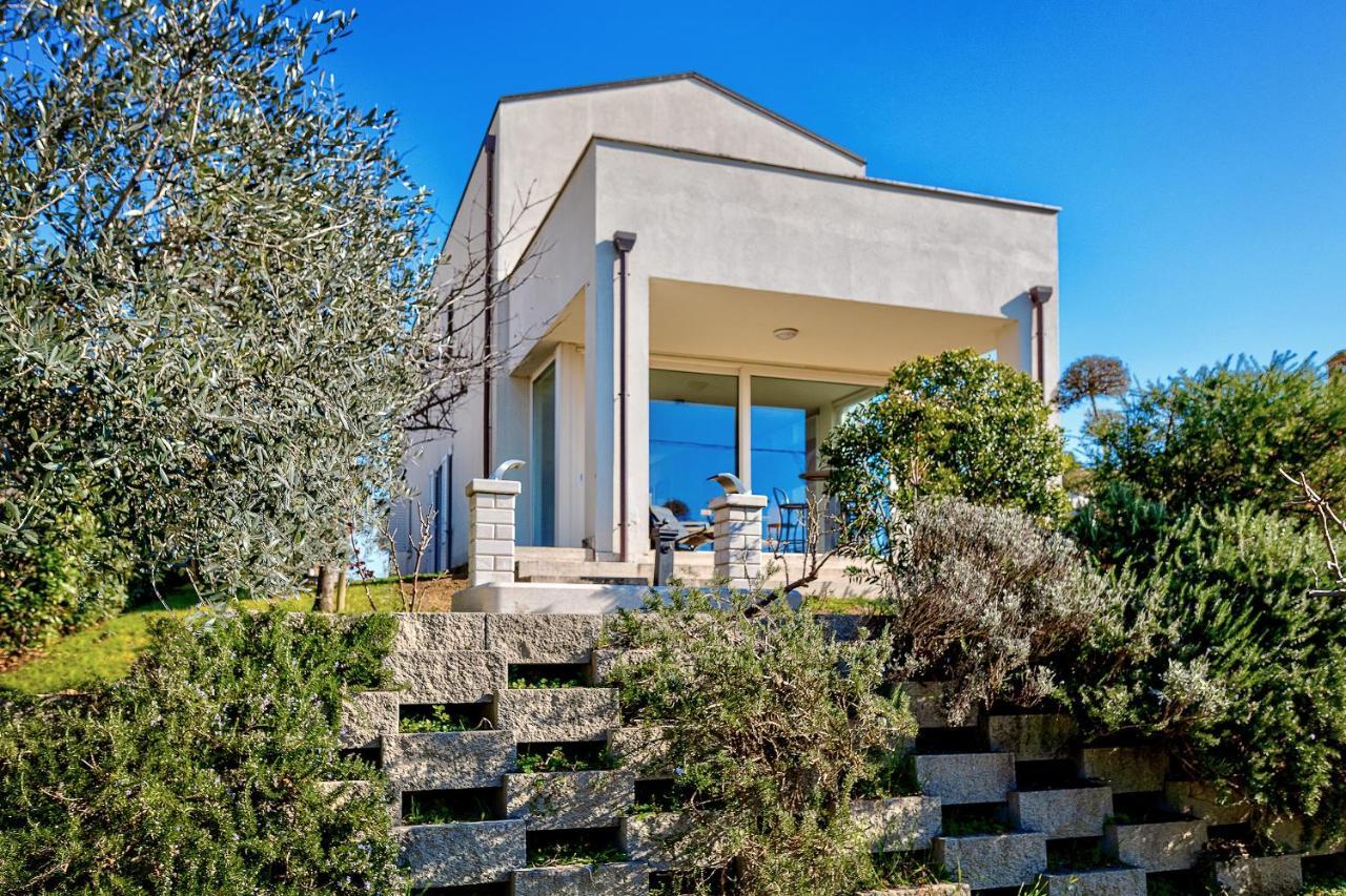 Villa Il Poggino - Modern House Foiano Della Chiana Dış mekan fotoğraf